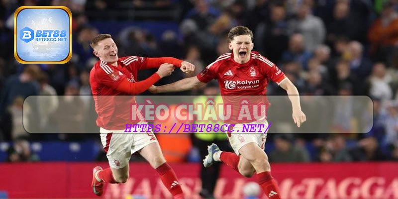 Cách tính tiền thắng trong kèo châu Âu